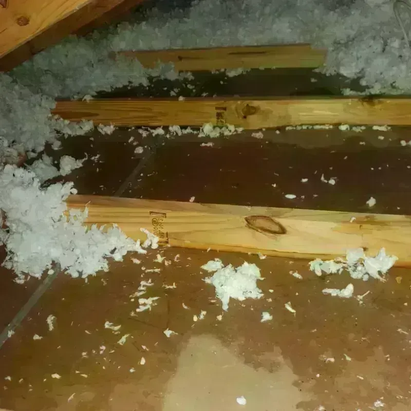 Attic Water Damage in Mount Morris, MI