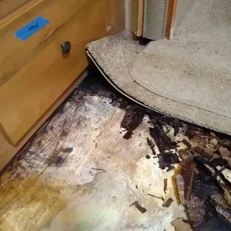 Wood Floor Water Damage in Mount Morris, MI